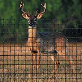 Tenax Deer Barrier Fencing